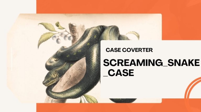 Screaming Case Example SCREAMING_SNAKE_CASE Explained for Developers
